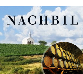 Nachbil