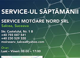 Service-urile lunii